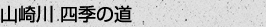 山崎川四季の道