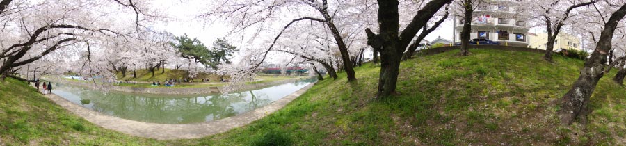 伊賀川の春