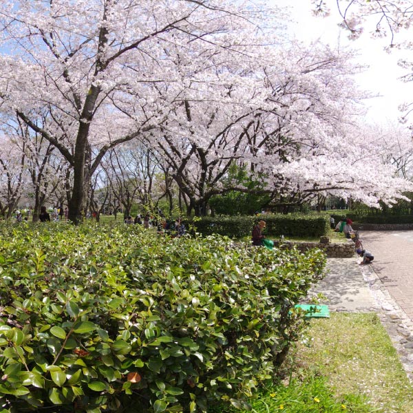 庄内緑地公園