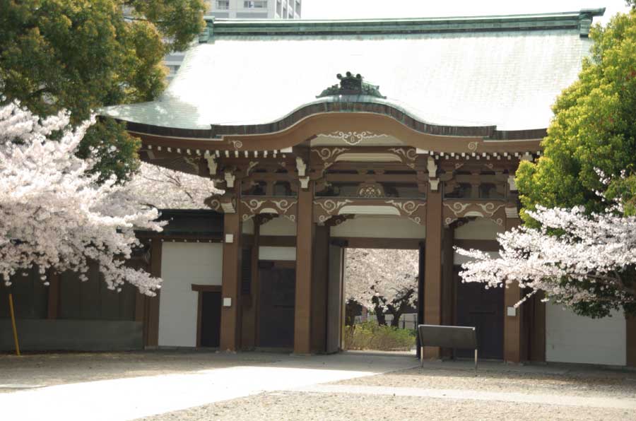 中門と桜