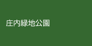 shonai1