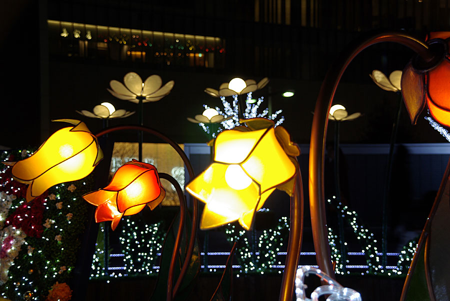 きれいなお花のランプ