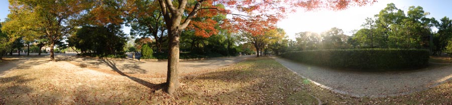 紅葉の並木道