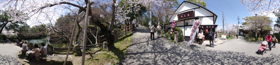 桜茶屋前