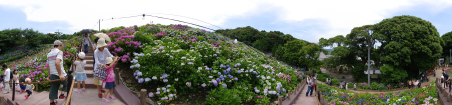 あじさいの里