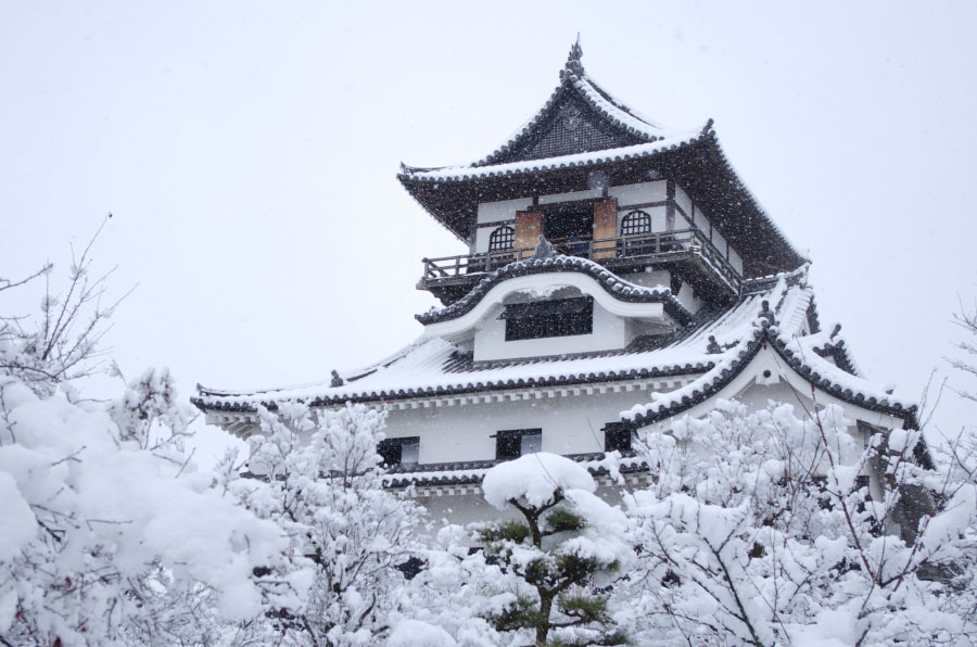 めずらしく雪が積もりました