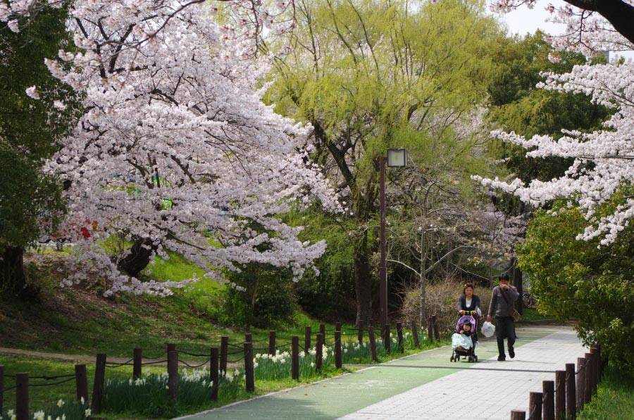 公園の入り口です